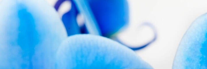 Mijn naam is Martine Uwineza. ik ben een ervaren zorgverlener met meerdere jaren werkervaring en ben na mijn werk binnen diverse zorginstellingen gestart als zelfstandig particulier ziekenverzorgende in Amsterdam en omgeving.